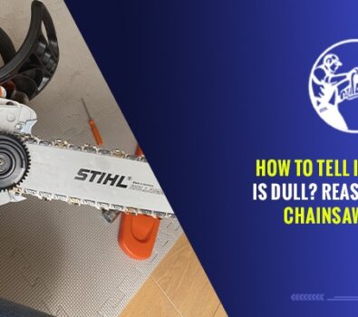 How to Tell If a Chainsaw is Dull? Reasons For a Dull Chainsaw Chain!