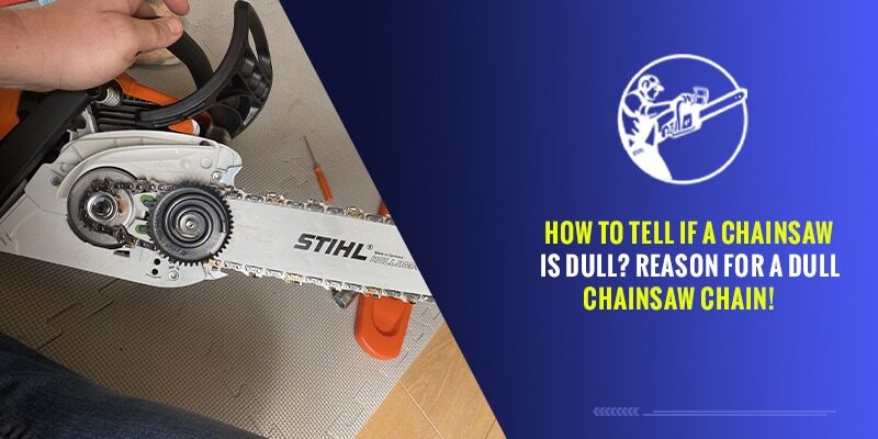 How to Tell If a Chainsaw is Dull? Reasons For a Dull Chainsaw Chain!