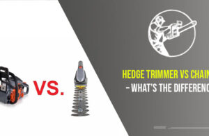 Hedge Trimmer Vs Chainsaw – What’s The Difference?