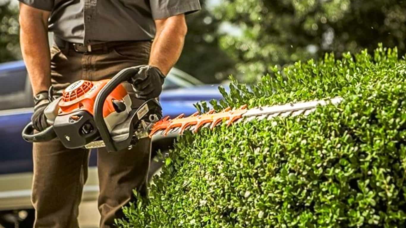 Using a Hedge Trimmer