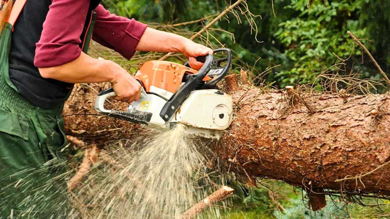 Benefits of Lighter Chainsaws