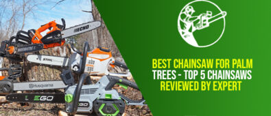 Best Chainsaw For Palm Trees – Top 5 Chainsaws Reviewed By Expert