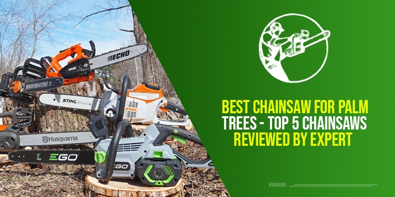 Best Chainsaw For Palm Trees – Top 5 Chainsaws Reviewed By Expert