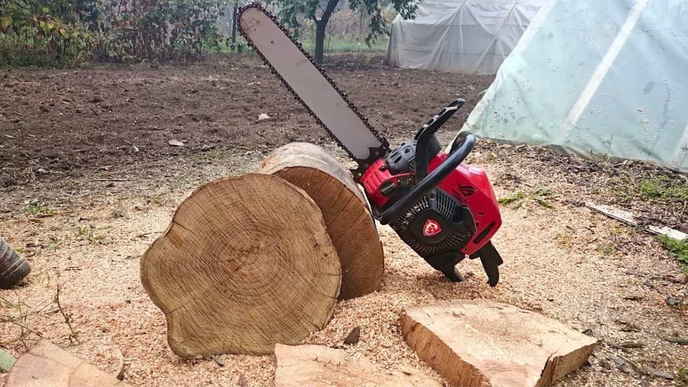 Can You Cut Dry Wood with a Chainsaw 
