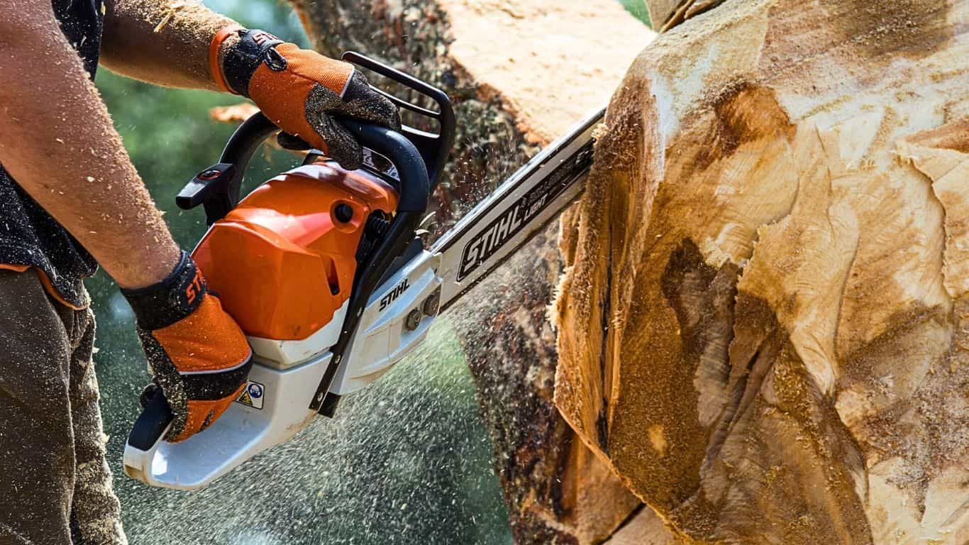 Things to Consider Before Buying the Chainsaw