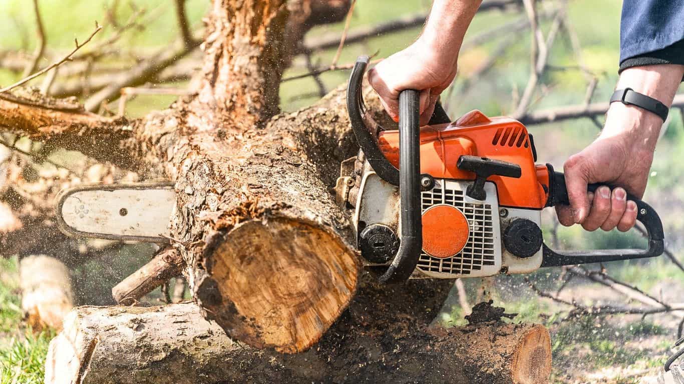 Things to Consider while Buying the Left-Handed Chainsaw