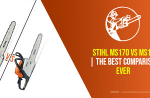 Stihl MS170 Vs MS171 | The Best Comparison Ever