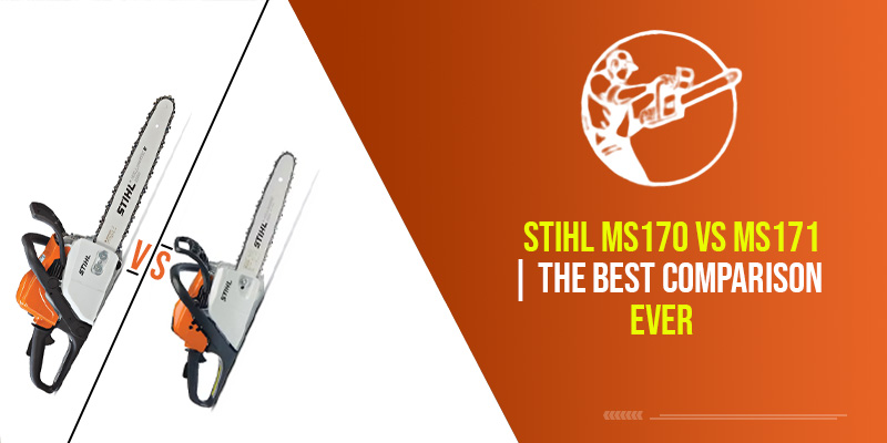Stihl MS170 Vs MS171 | The Best Comparison Ever